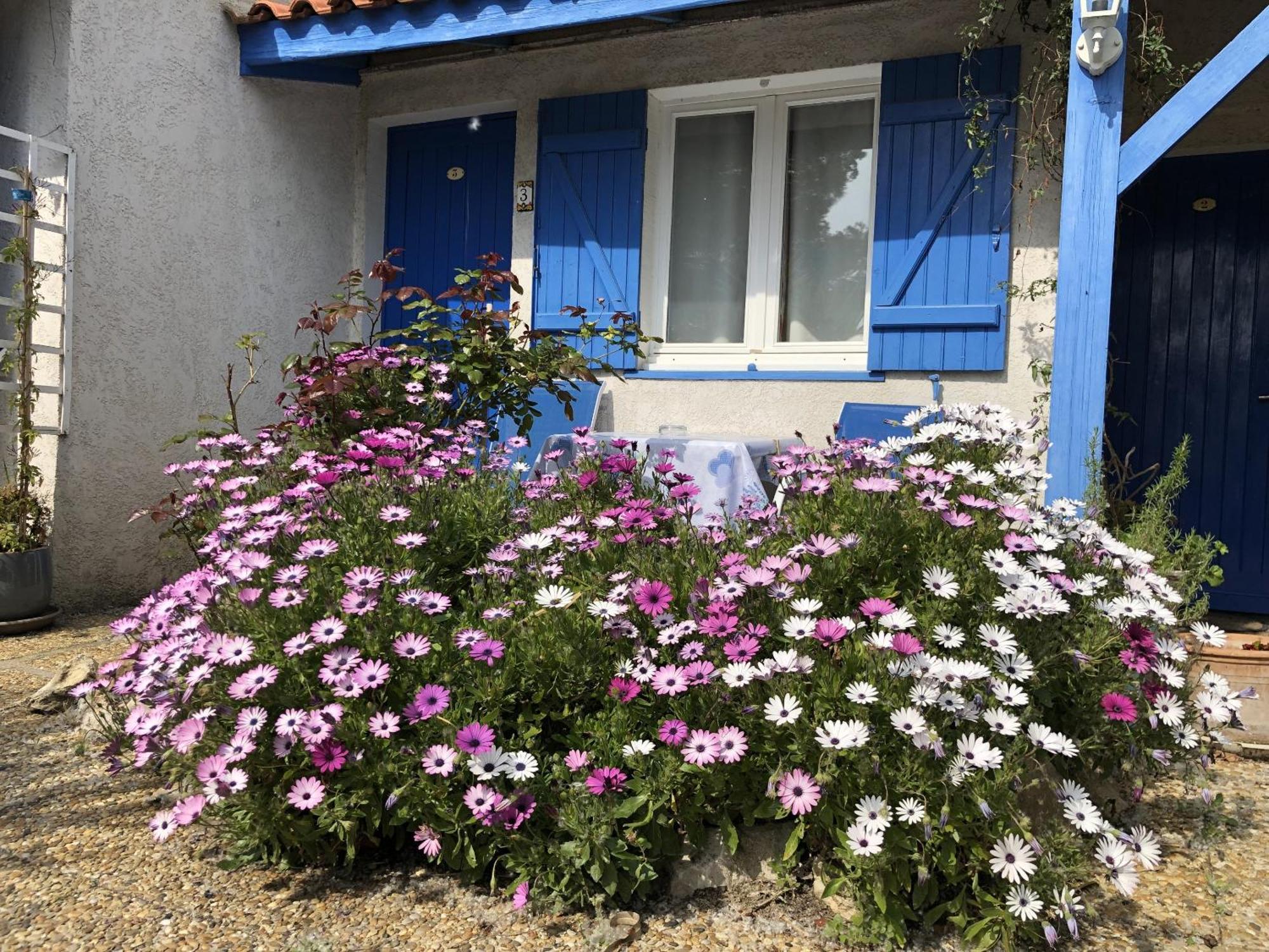 Hotel Des 4 Vents "Esprit Camargue" Aigues-Mortes Exteriör bild